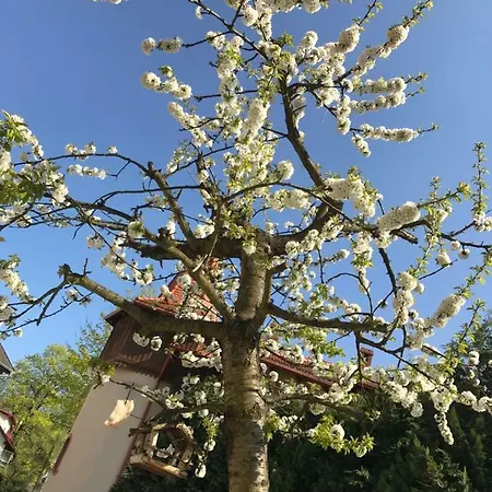 W Ogrodzie * Поляница-Здруй