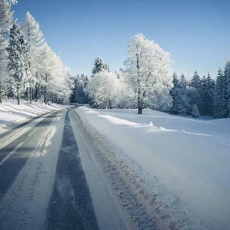 W Ogrodzie 아파트 *