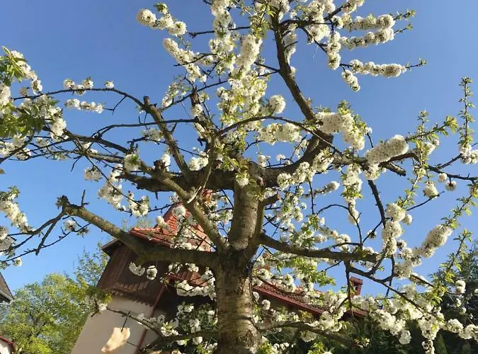 W Ogrodzie * بولانيكا- زدروي