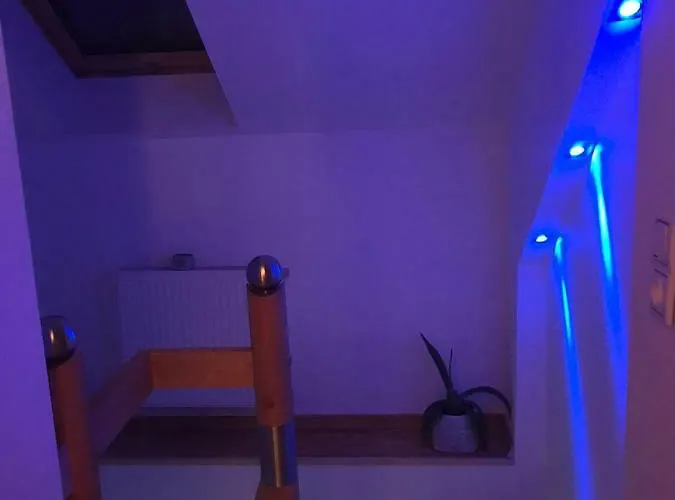 W Ogrodzie Polanica-Zdrój