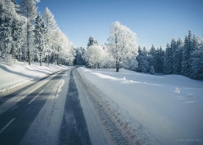 W Ogrodzie Lejlighed *